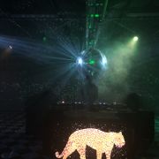 Boost Sound lda - Cascais - Brautparty
