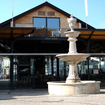 Paulinho - Aveiro - Transportation and Private Tours