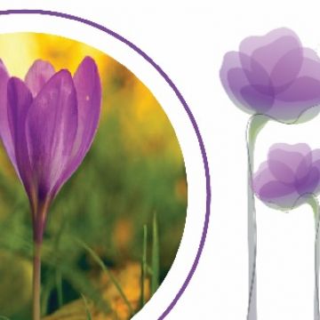 Tatiana Pinheiro - Alcobaça - 3D-Modellierung und CAD-Dienstleistungen