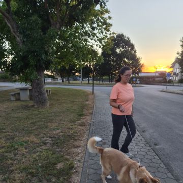 Iris - Oliveira de Azeméis - Dog Sitting