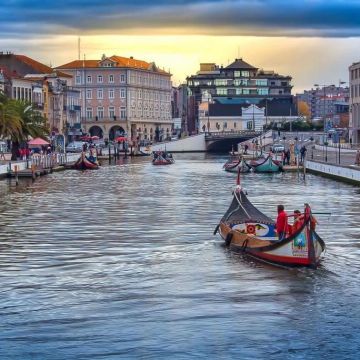 Paulinho - Aveiro - Transportation and Tour Guides