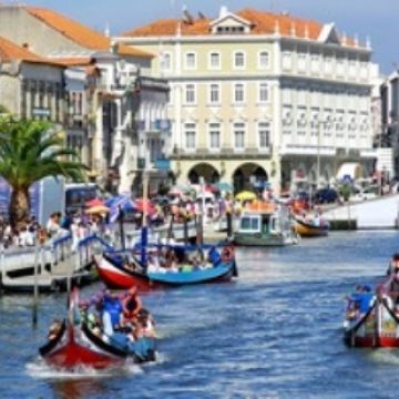 Paulinho - Aveiro - Transportation and Private Tours