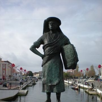Paulinho - Aveiro - Transportation and Tour Guides