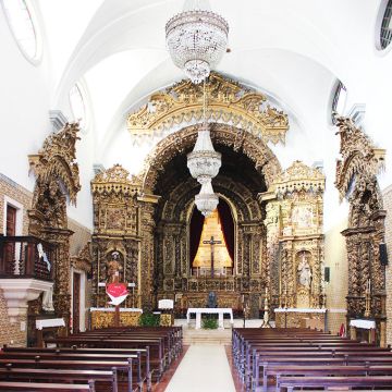 Paulinho - Aveiro - Wine Tastings and Tours