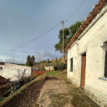 M&C Remodelações&Jardins - Abrantes - Tree Stump Grinding and Removal