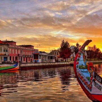 Paulinho - Aveiro - Wine Tastings and Tours
