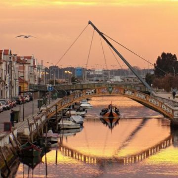 Paulinho - Aveiro - Tour Guiding