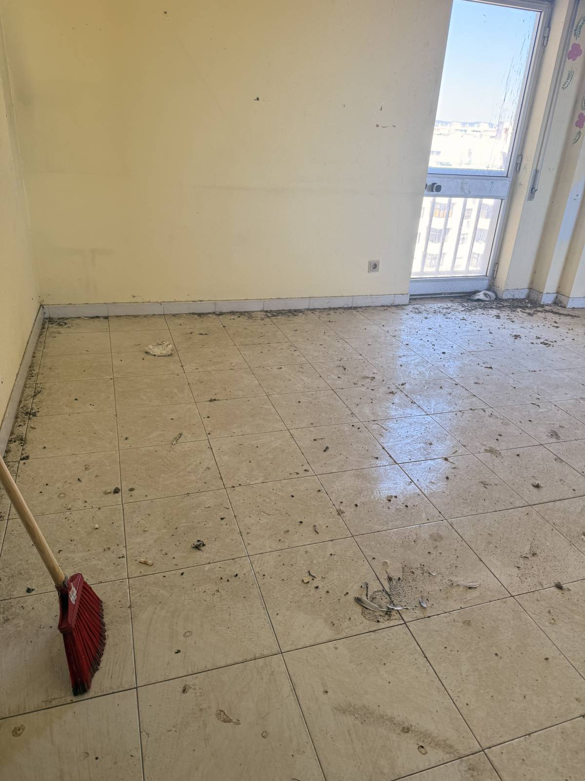 Costa Premium clean - Loulé - Pintar edificios