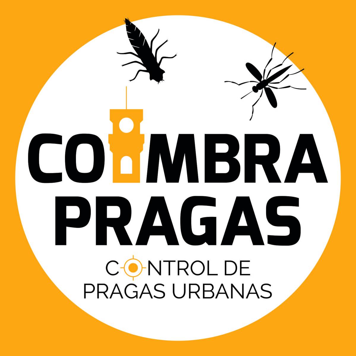 coimbrapragas - Coimbra - Eliminação de Animais e Roedores