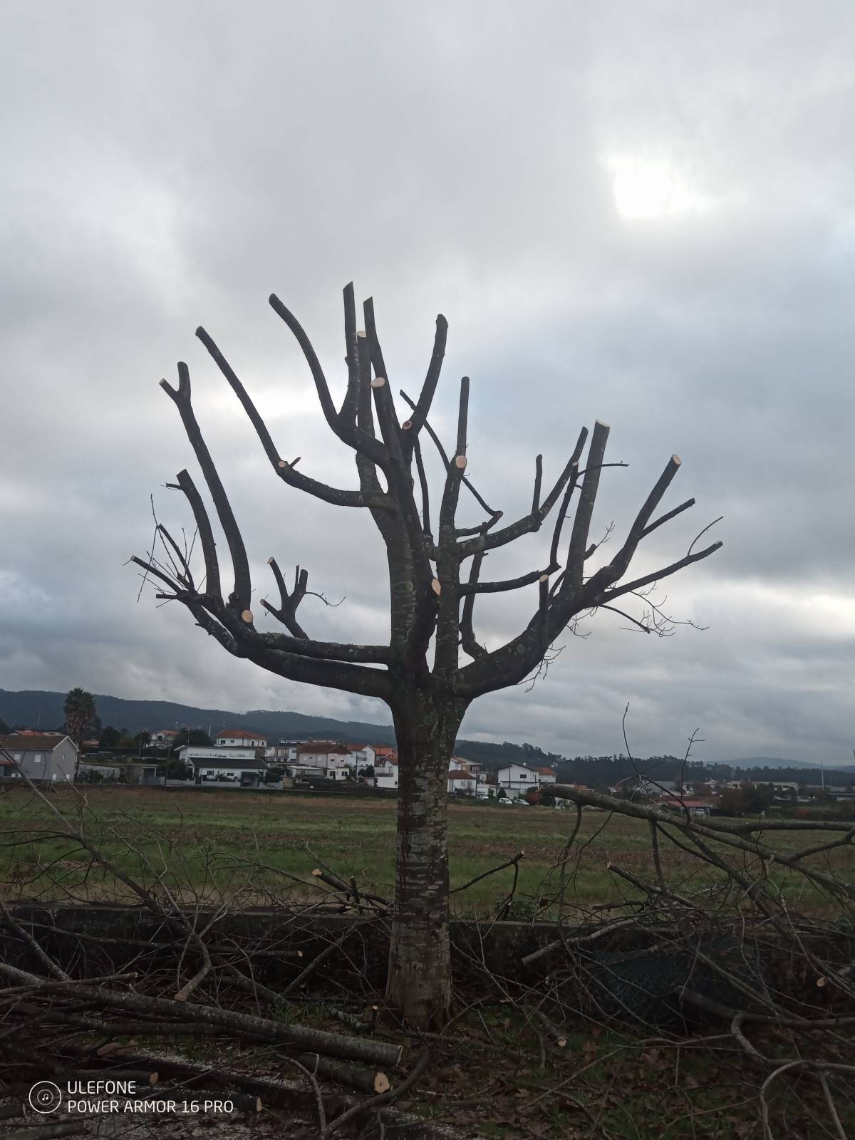 José Monteiro - Barcelos - Instalação de Relva Artificial