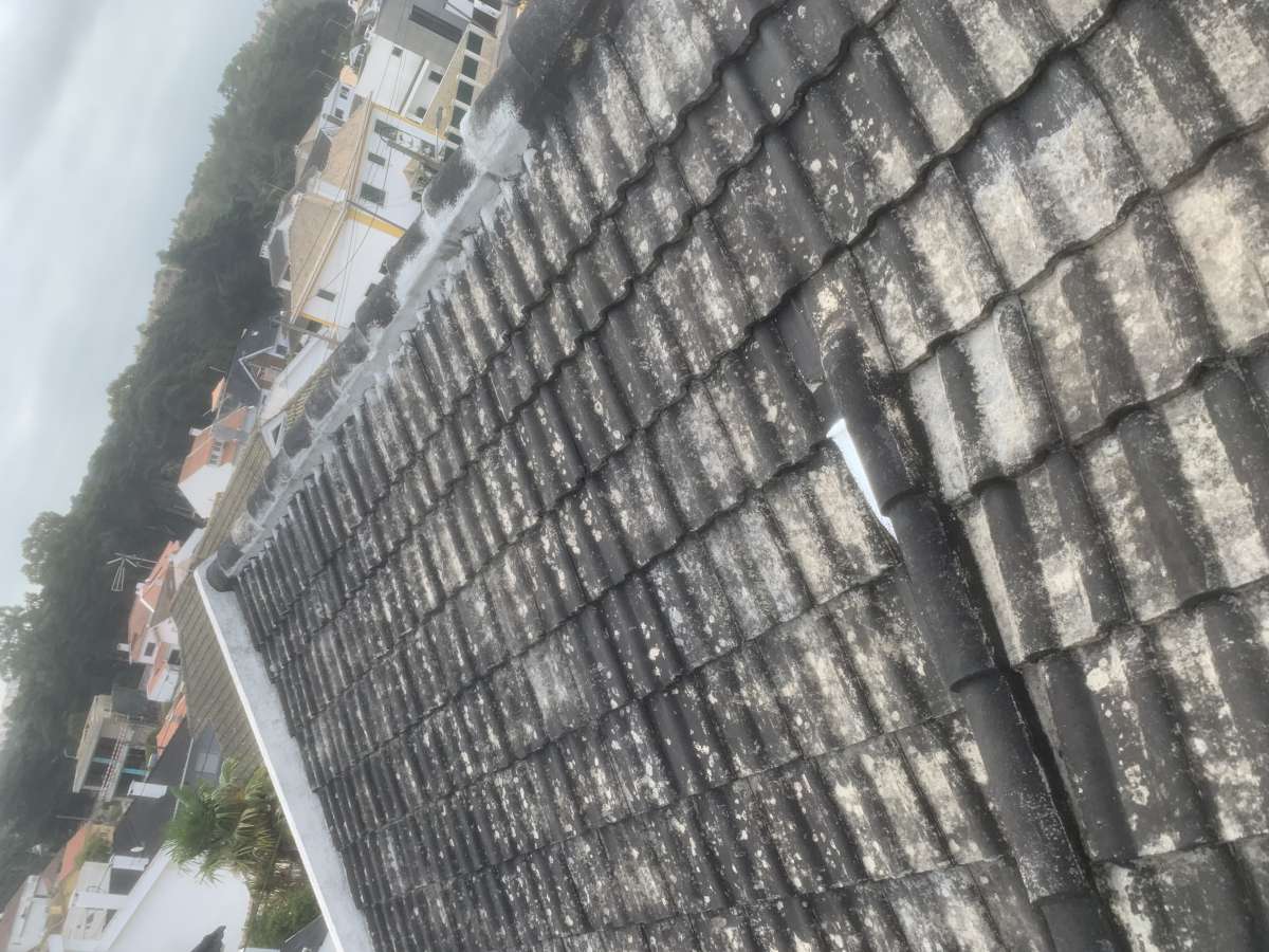 Bruno Silva - Cascais - Flooring