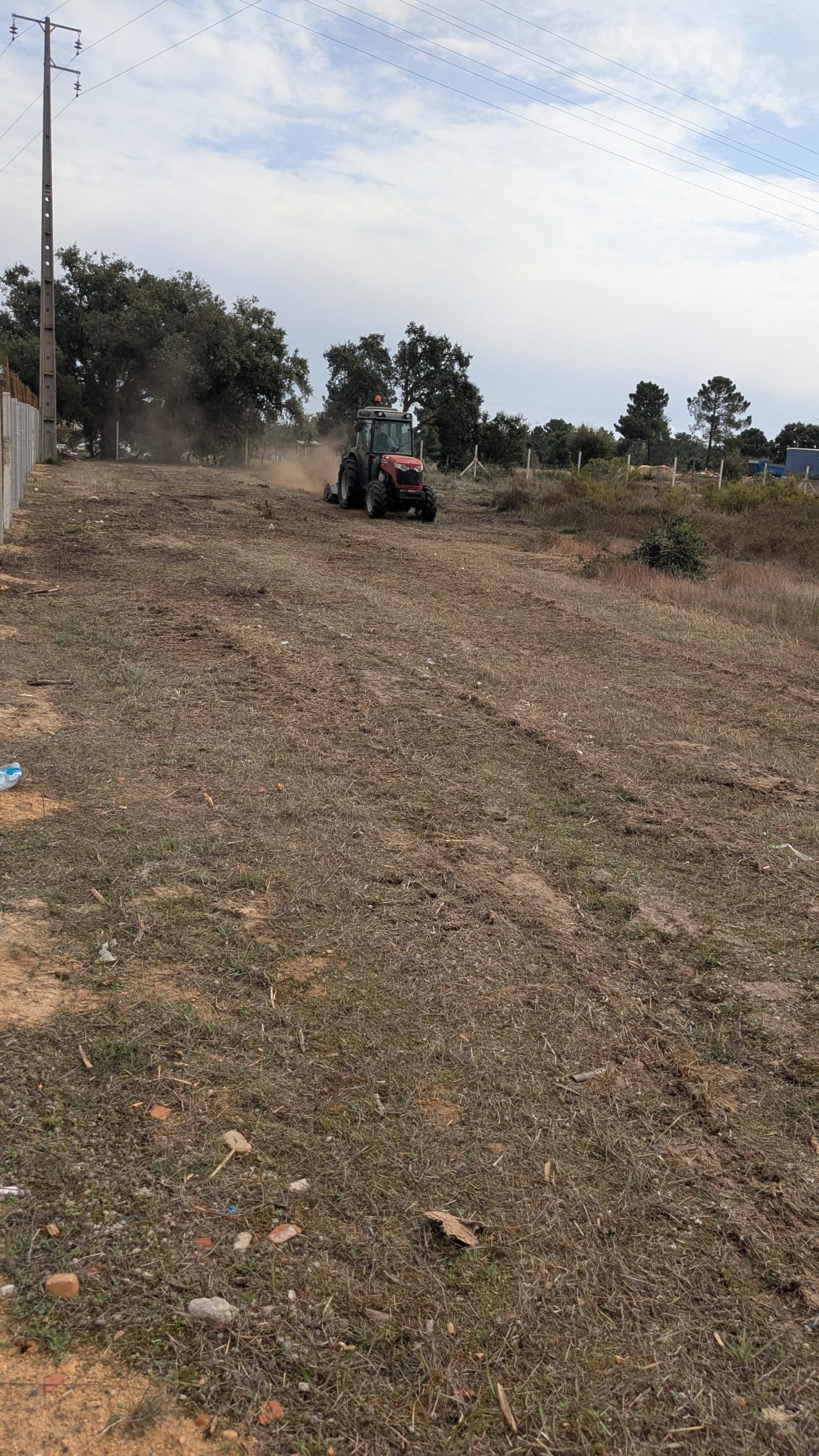 Especialista de Limpeza de Terrenos