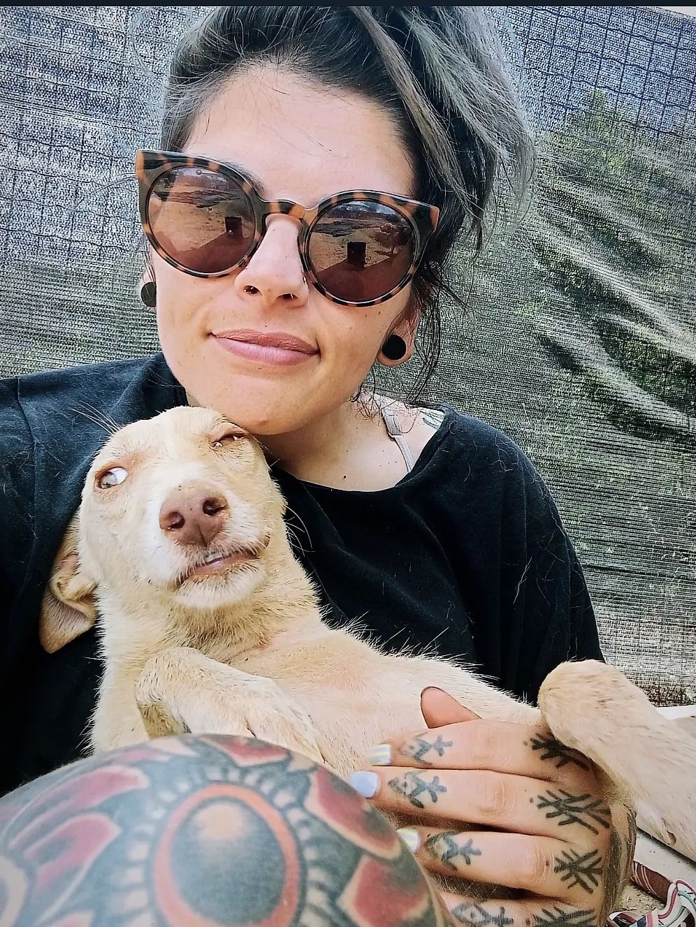 Joana - Portimão - Dog Hotel