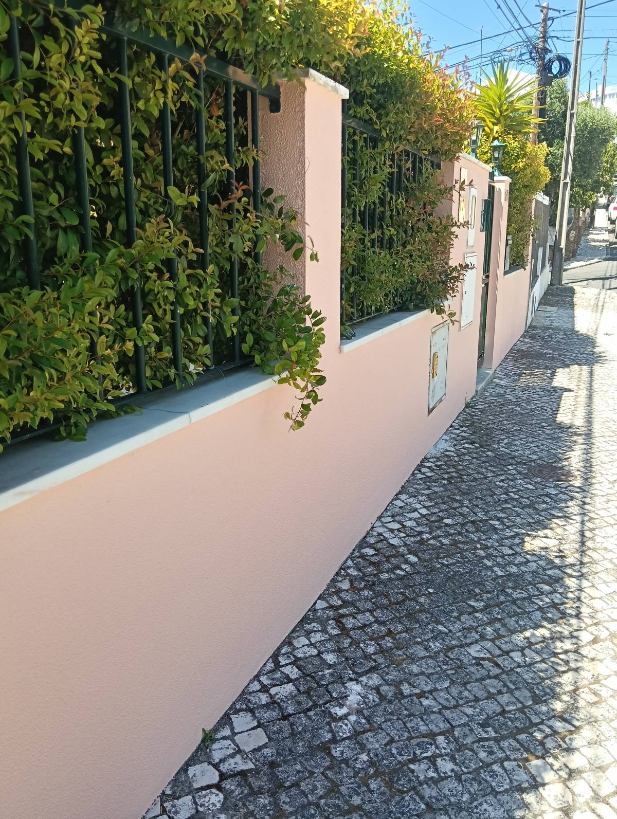 Francisco Roquette - Lisboa - Pintar puertas