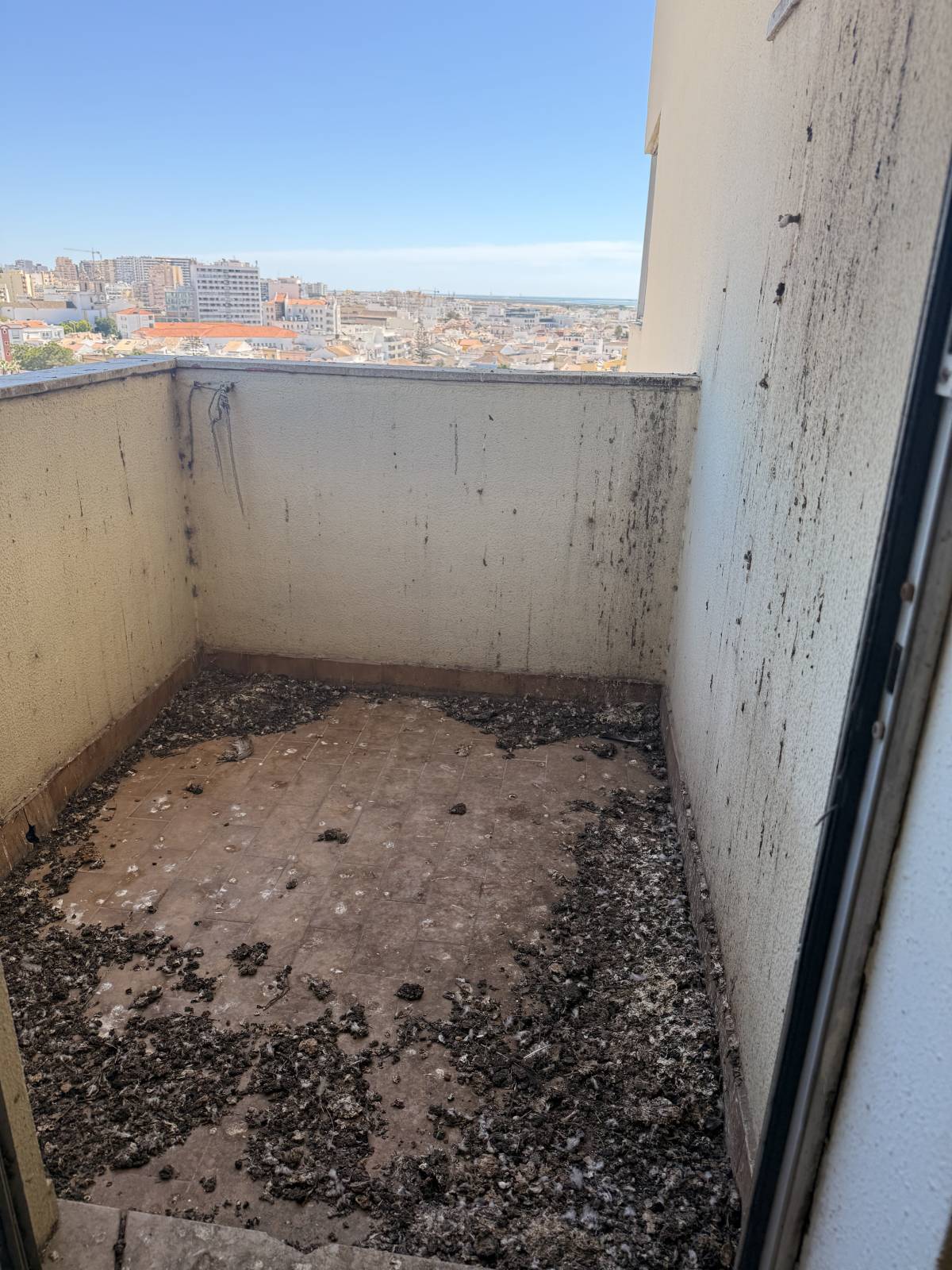 Costa Premium clean - Loulé - Reparación de puertas