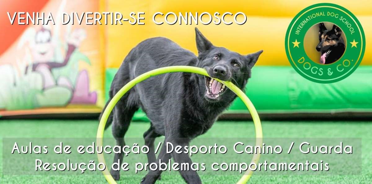 Dogs And Co - Cascais - Dog Sitting