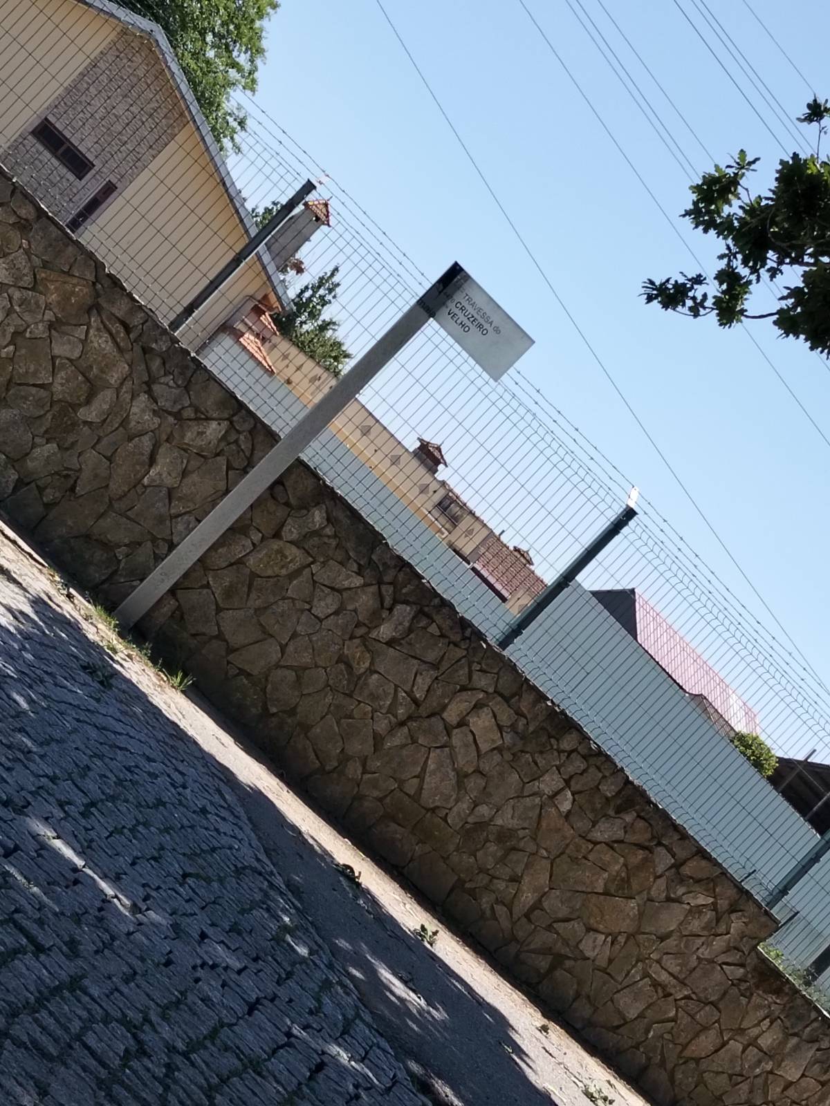 rui.silva - Maia - Poda e Manutenção de Árvores