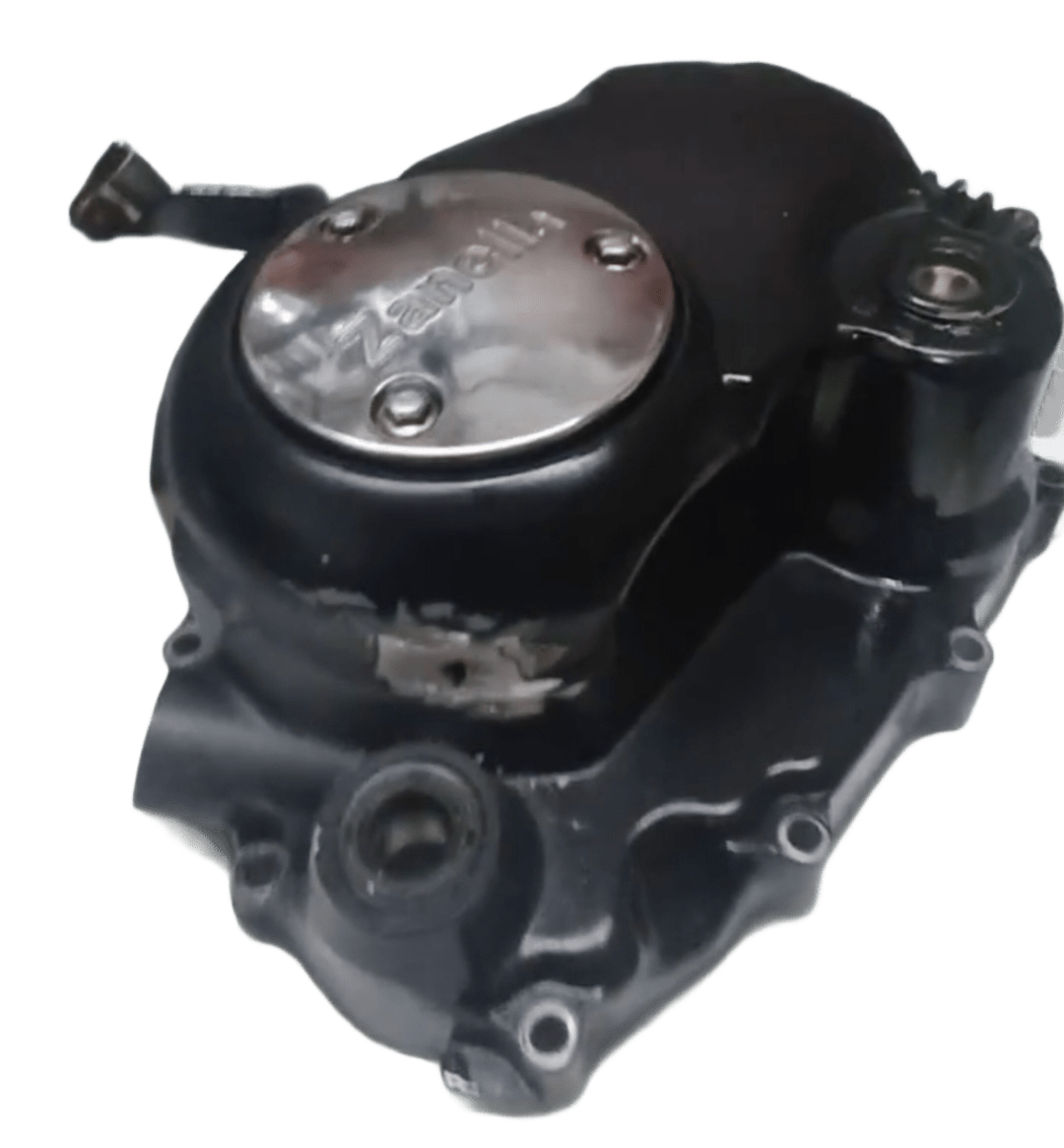 Soldador e reparação - Viseu - Instalação de Porta para Animais de Estimação