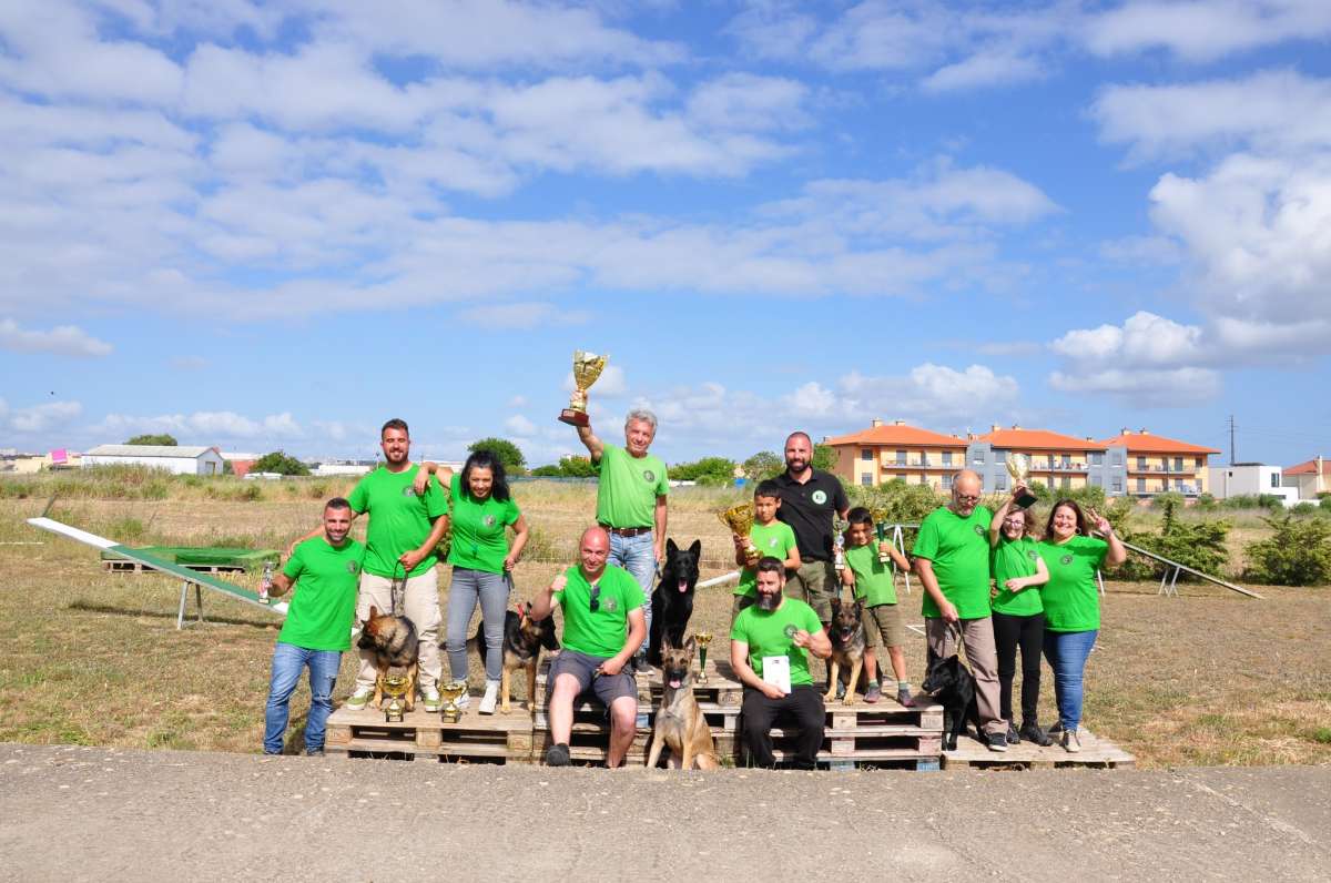 Dogs And Co - Cascais - Dog Walking