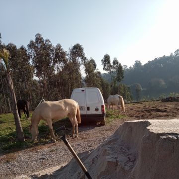 José Monteiro - Barcelos - Limpa-neves (Residencial)