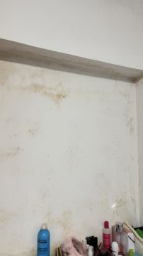Pintura - Casa