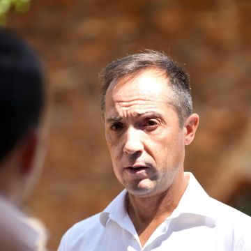 Paulo Nogueira - Sesimbra - Tree Trimming and Maintenance
