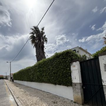 Bruno Silva - Cascais - Revêtement de salle de bains