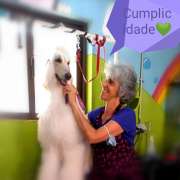 Slow Groom - banhos e tosquias de baixo stress - Lisboa - Pet Care and Grooming