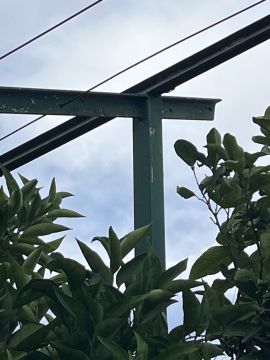 Processamento de Ferro e Aço