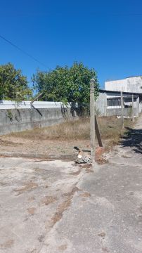 Empresa de Relva Artificial