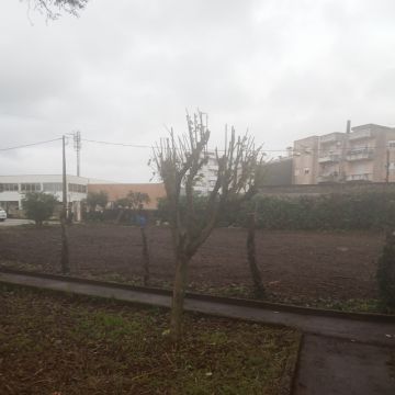 José Monteiro - Barcelos - Tratamento de Relvado