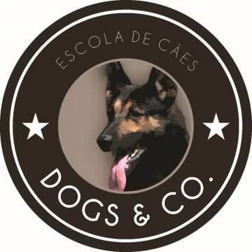 Dogs And Co - Cascais - Hotel para Gatos