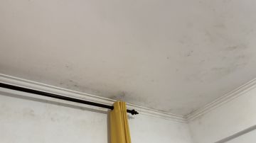 Pintura de Interiores