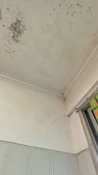 Pintura de Interiores
