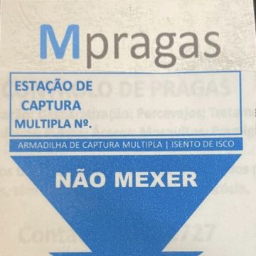 Desinfestação e Tratamentos Madeira - Lisboa - Controlo de Pragas