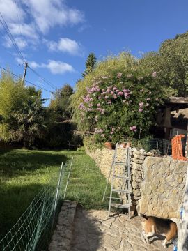 Jardinería
