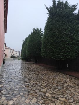 Podador de Árvores