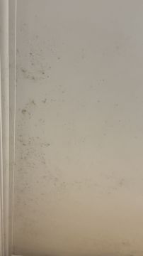 Pintura de Interiores - Pintura