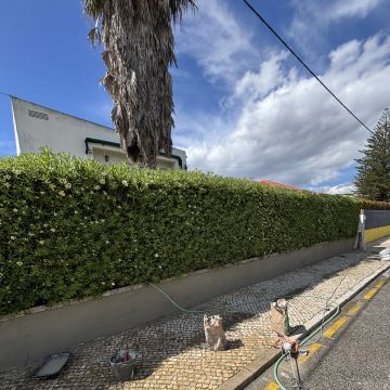 Bruno Silva - Cascais - Peinture extérieure