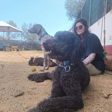 Joana - Portimão - Creche para Cães