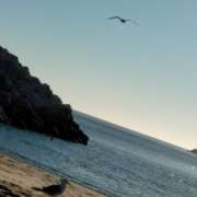 Telmo Gomes - Espinho - Lamp Installation