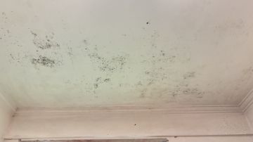 Pintura - Casa