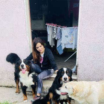 Patrulha Pet - Coimbra - Pet Sitting e Pet Walking
