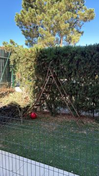 Gartenarbeiten
