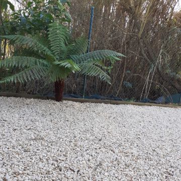 Diogo Manuel - Vila Nova de Gaia - Roof Installation or Replacement