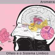 Cláudia Domingues - Viana do Castelo - Medicinas Alternativas