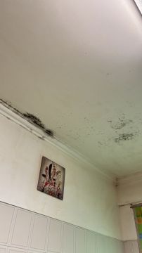 Pintor de Interiores - Casa