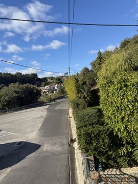 Servicio de Jardinero