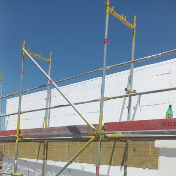 Ananias construções - Sintra - Remoção de Tronco de Árvore