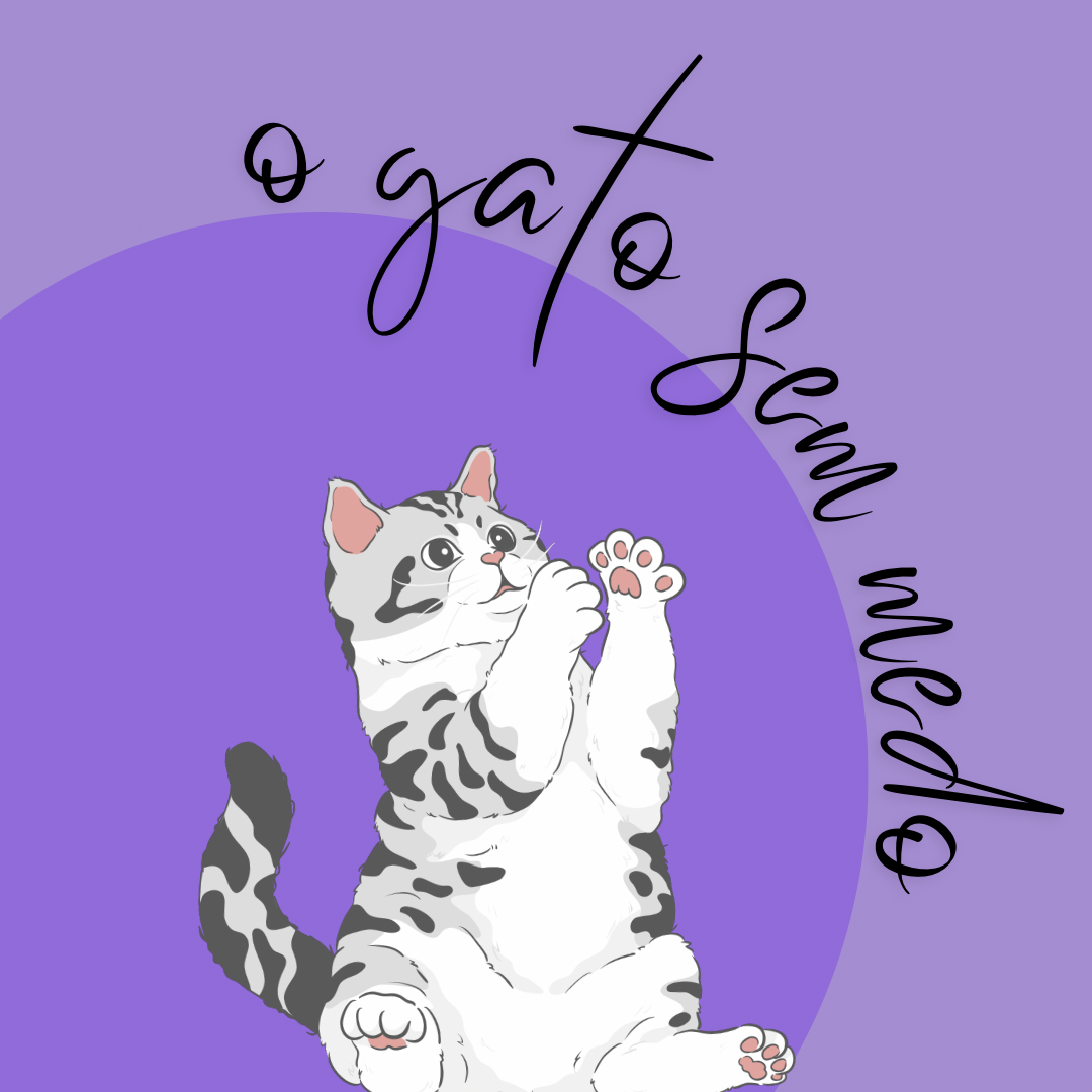 o gato sem medo - Sintra - Cat Sitting